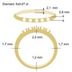 Diamantring Iselin med 5x0,07 ct TW-Si-85050700