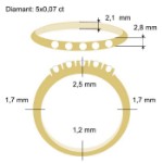 Diamantring Iselin med 5x0,07 ct TW-Si-85050700