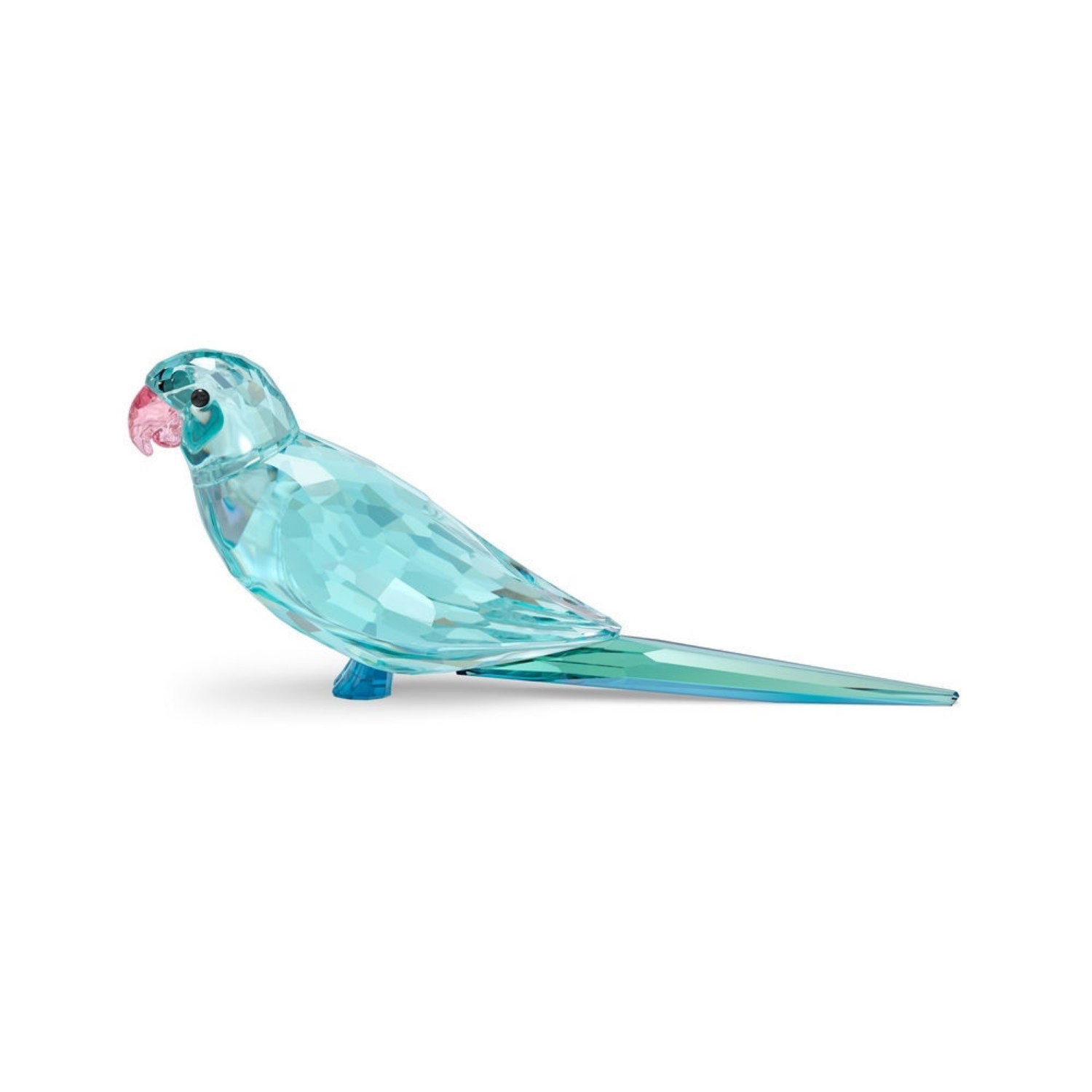 Swarovski figurer Jungle Beats Blue Parakeet Paco - 5574519