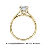 Diamantring forlovelsesring 0,25 ct i 14kt gull. Alida - 18002025