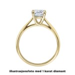 Enstens diamantring Alida 14 kt gull med 0,70 ct TW-Si.Magic Moments -18002070