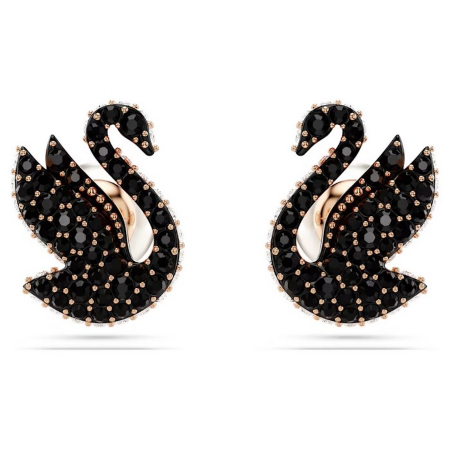 Swarovski øredobber Swan stud, Black, Rose gold-tone plated - 5684608