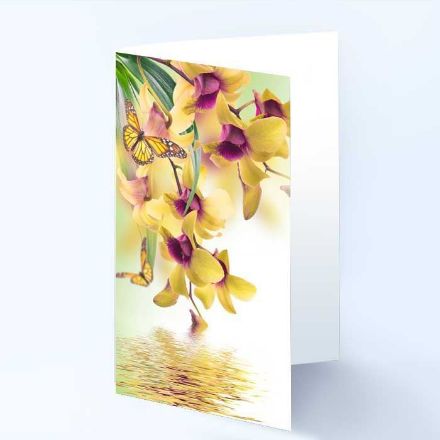 Gratulasjonskort med blomstermotiv - 181023 Gratulasjonskort med blomstermotiv - 181023