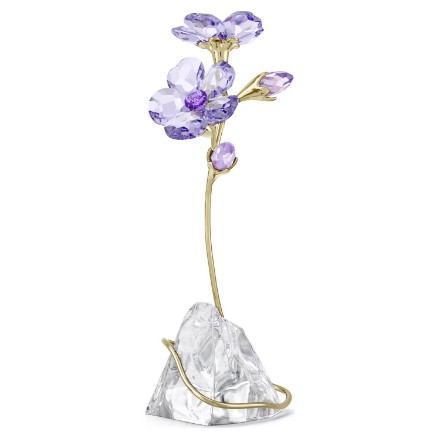 Swarovski figurer Florere Rozanne - 5693143 Swarovski figurer Florere Rozanne - 5693143