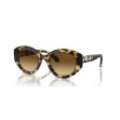 Swarovski solbriller Cat-eye shape, SK6008, Brown - 5679535