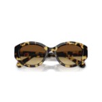 Swarovski solbriller Cat-eye shape, SK6008, Brown - 5679535