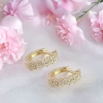 Diamantøredobber i 14 kt gull med 0,27 ct W-Si - BUR738132