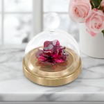 Swarovski figurer Garden Tales Rose Bell Jar, small - 5619223