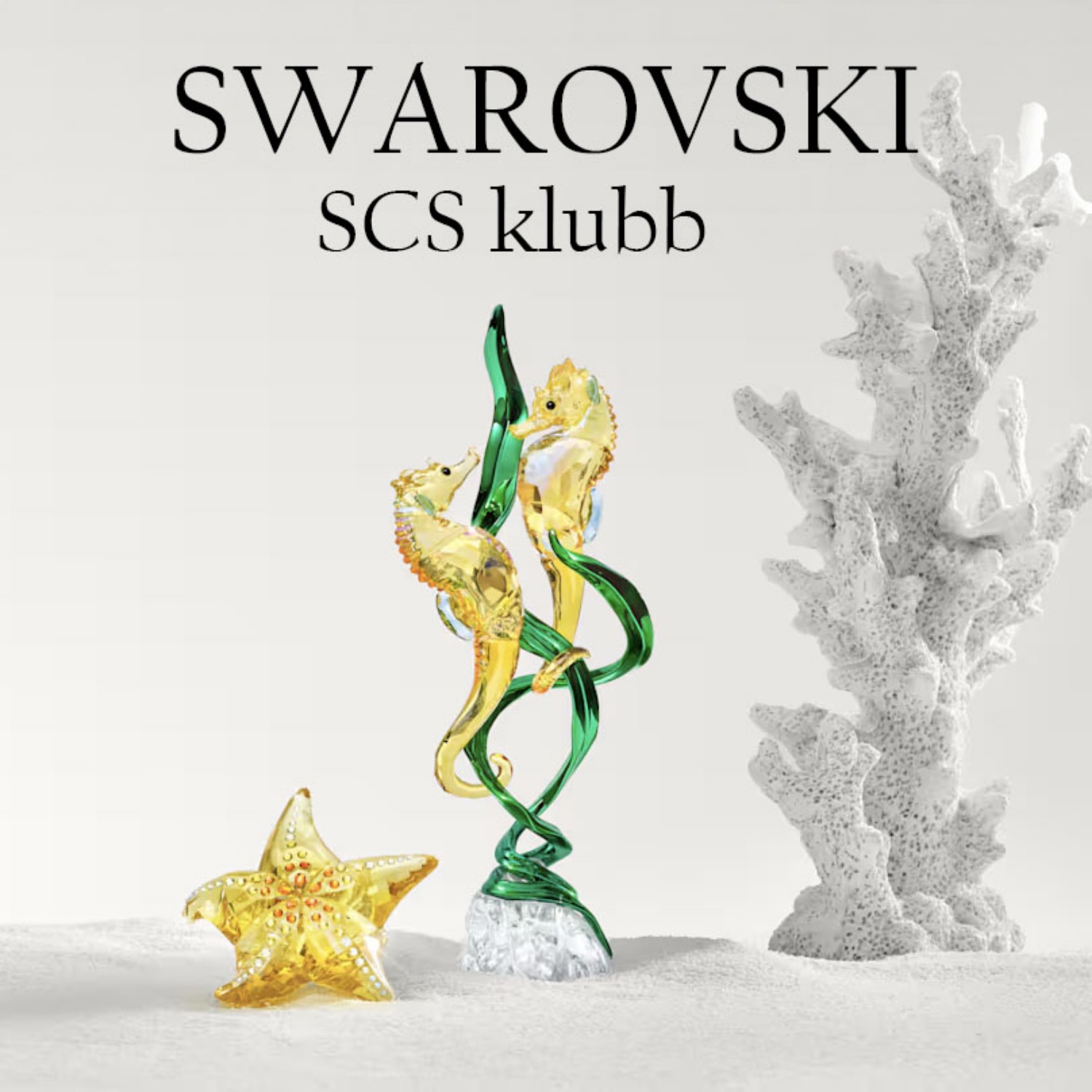 Bilde av Swarovski SCS klubb medlemskap