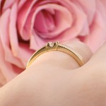 Diamantring Iselin med 0,07 ct TW-Si-85010070