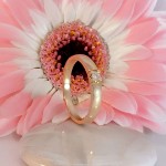 Diamantring Iselin med 0,07 ct TW-Si-85010070