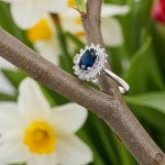 Diamantring Rosett i hvitt gull med safir og 0,16ct W-SI - 57286