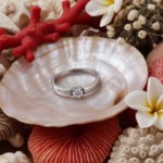 Diamantring Iselin med 0,10 ct TW-Si-8501010