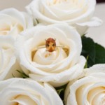 Gullring i 14kt med citrin - Bur620400gc