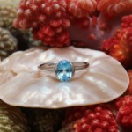 Gullring 14 kt med topas - Bur620385hvt