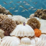 Gullring 14 kt med ametyst - bur585706a