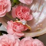 Enstens diamantring Alida med 0,25 ct TW-Si i 14kt gull - 18002025