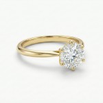 Enstens diamantring Aida med 0,30 ct i 14kt gull. TW-Si. -18016030