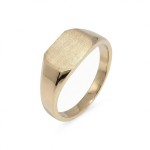 Signetring i gult gull 14 kt - 5000506