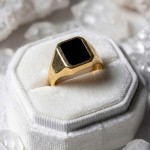Signetring til herre i gult gull 14 kt med onyx - 56774