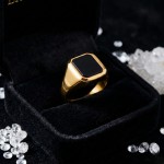 Signetring til herre i gult gull 14 kt med onyx - 56774