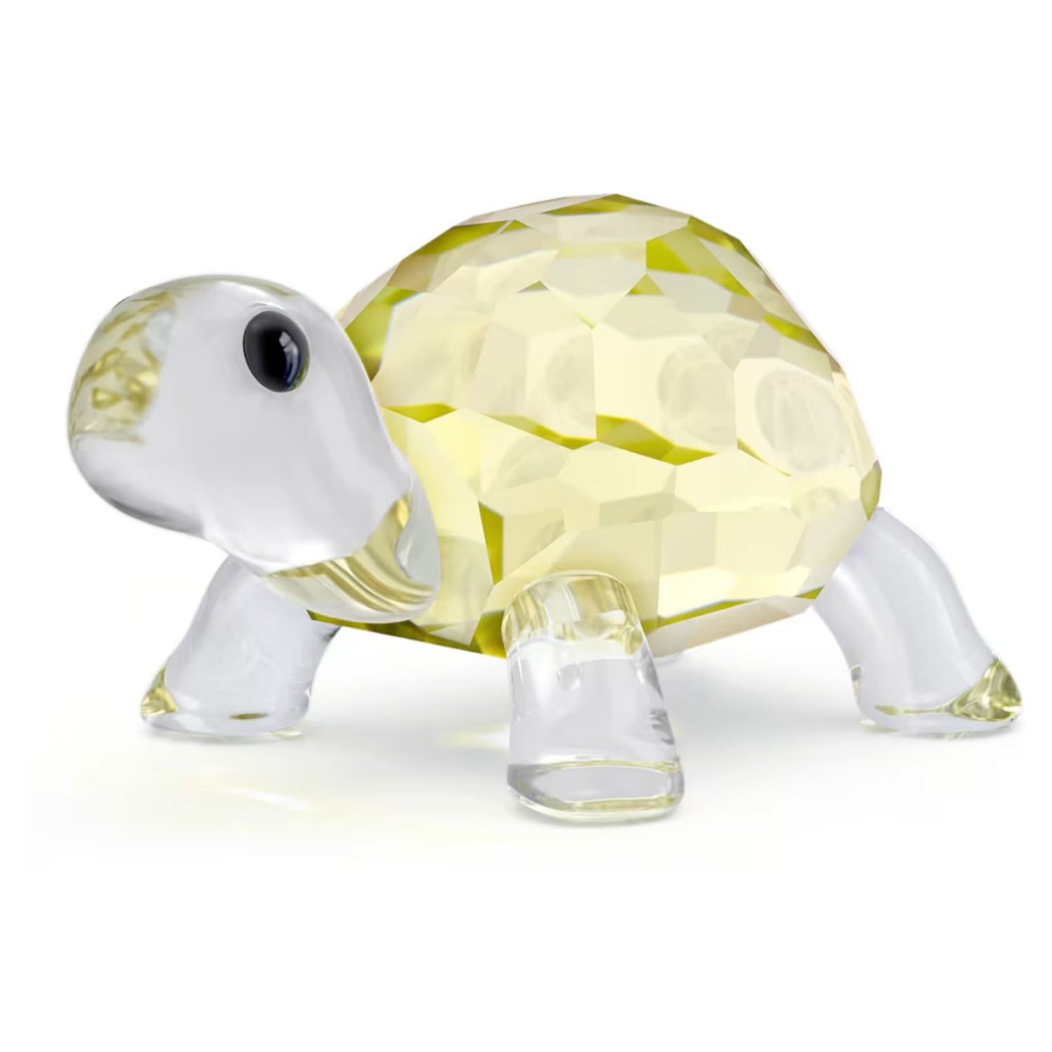 Swarovski figurer Idyllia Baby Tortoise - 5721550