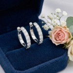 Diamantøredobber i gull med 0,75 ct W-Si -BUR734862