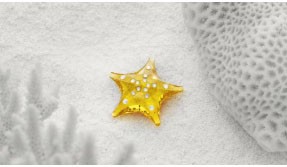 Annual Gift swarovski